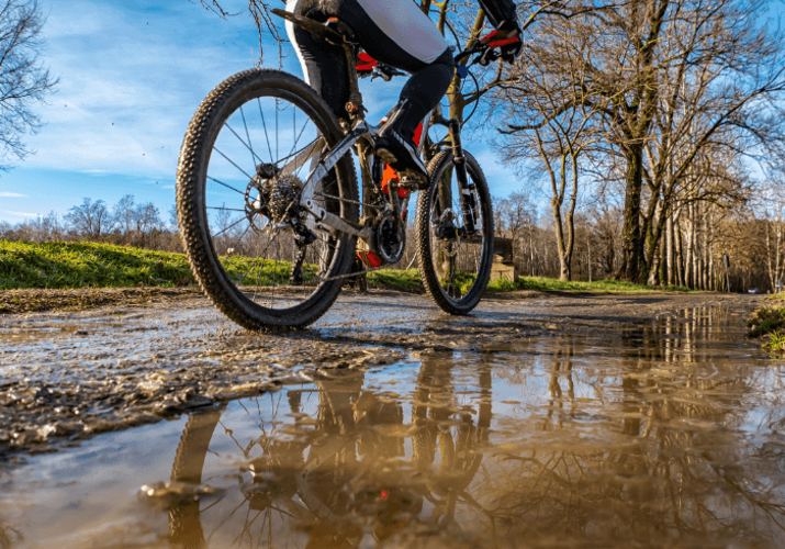 MTB ősszel