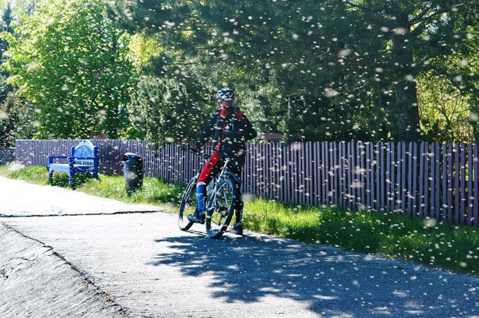 5 módszer, hogyan védekezhet kerékpározáskor a rovarok elleni>