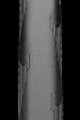 CONTINENTAL külső abroncs  - GRAND SPORT 700x25C - fekete