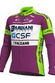 ALÉ Hosszú ujjú kerékpáros mez - BARDIANI CSF 20 WNT - zöld/lila