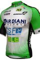 ALÉ mez - BARDIANI 2016