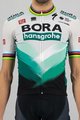 SPORTFUL Rövid ujjú kerékpáros mez - BORA HANSGROHE 2021 - szürke/zöld