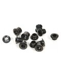 SRAM csavarkészlet - CRANK CHAINRING BOLT KIT 4-ARM - fekete