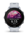 GARMIN okosóra - FORERUNNER 955 SOLAR - szürke