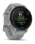 GARMIN okosóra - FORERUNNER 255S - szürke