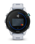 GARMIN okosóra - FORERUNNER 255S MUSIC - szürke