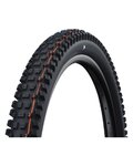 SCHWALBE külső abroncs  - ALBERT GRAVITY PRO 29x2.50 EVOLUTION 67EPI - fekete