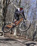 LIMAR Kerékpáros sisak - DELTA MTB - zöld