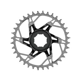 SRAM lánckerék - XX T-TYPE 34T - ezüst/fekete
