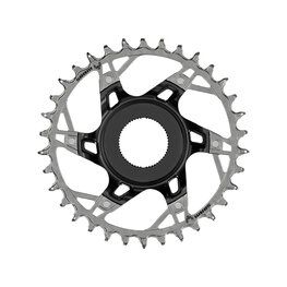 SRAM lánckerék - XX T-TYPE 34T - ezüst/fekete