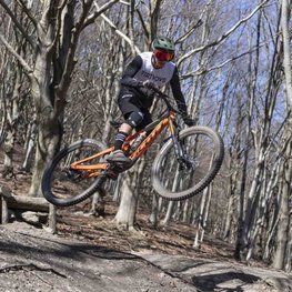 LIMAR Kerékpáros sisak - DELTA MTB - zöld